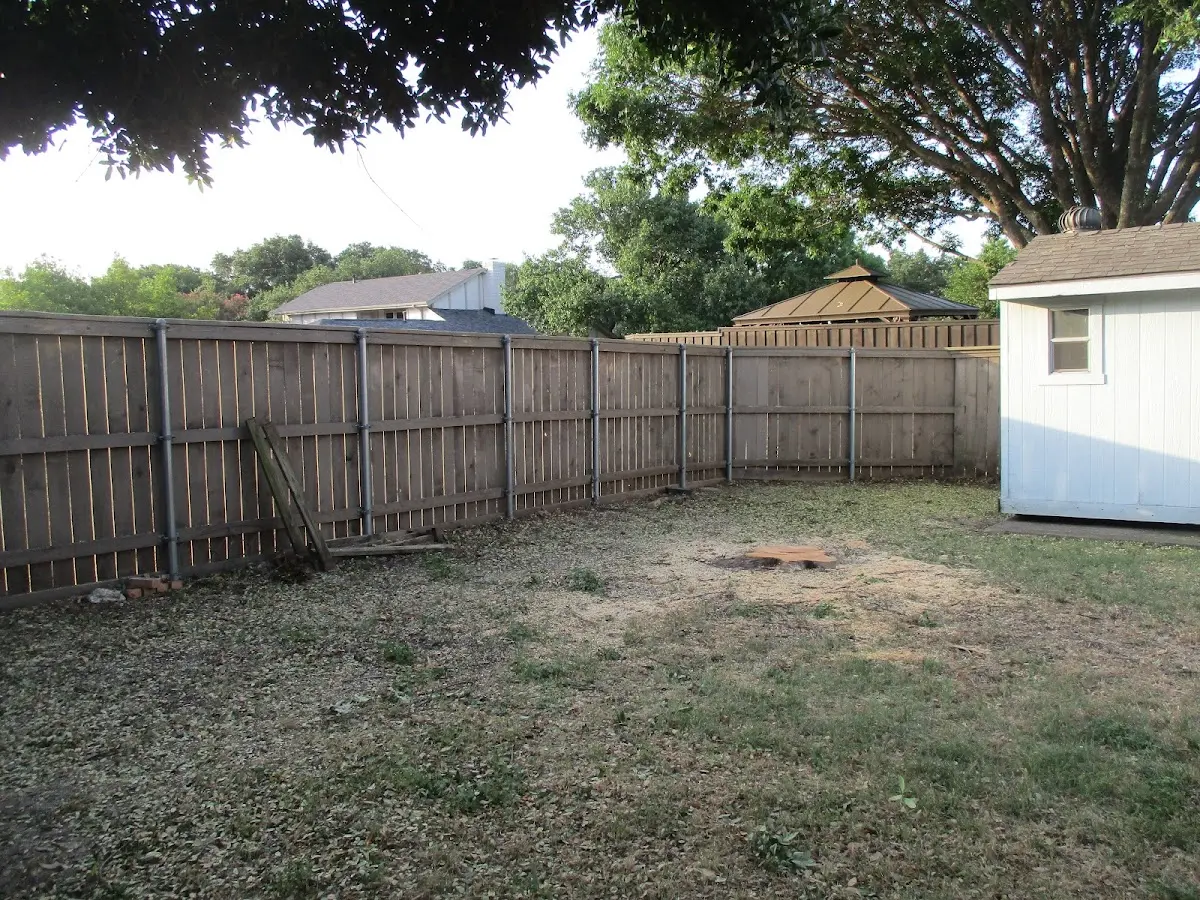 Cleared yard after professional tree removal in Steamboat Springs